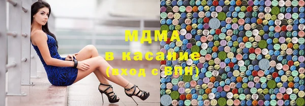 индика Верхний Тагил